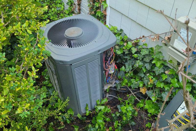 For maximum AC efficiency, always keep the area around your AC unit clear of plant life and other obstructions!